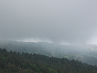 nte Rinatu-20110615 116